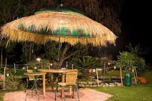 The Homestead Resort